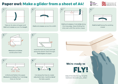 Screenshot of the glider instructions